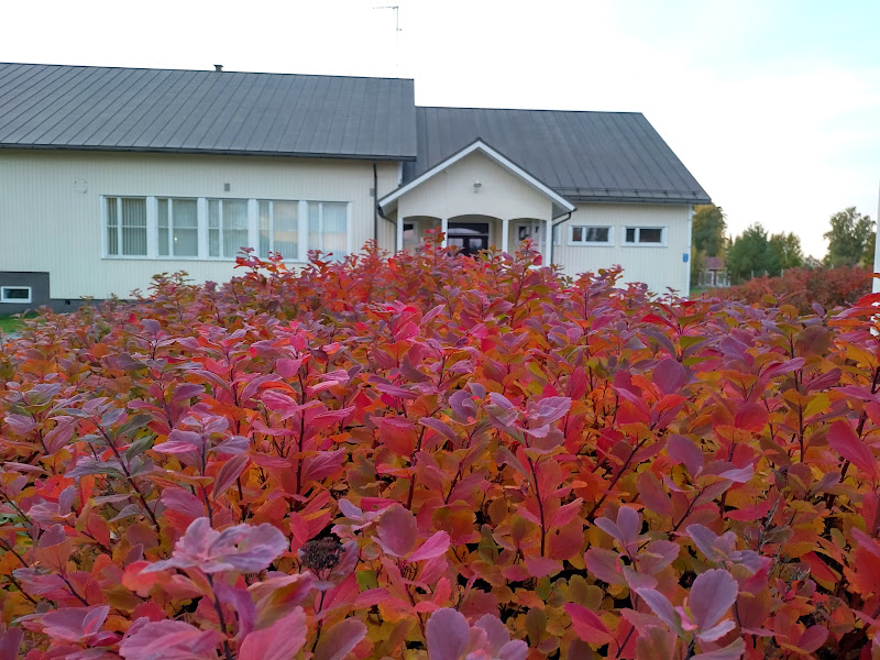 Seurantalo syysruskan aikaan